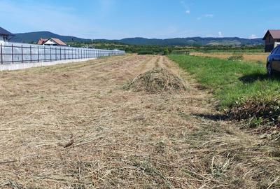 Teren - 21,55 ari - acces direct din DN17 - pretabil spatiu comercial/productie - 2