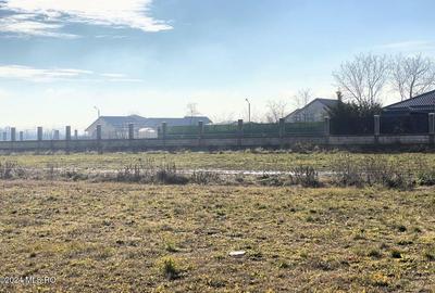 Afumati - Str. Iasomiei, 2409 MP, stradal, intravilan, deschidere 12 m - 16