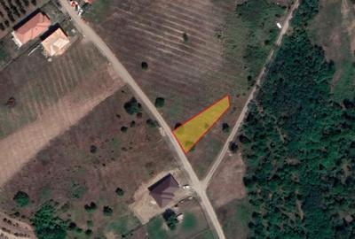 Teren Construcții intravilan de 530 mp, în Paleu