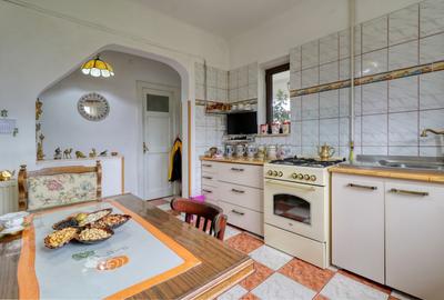 Casă boierească  de poveste- 7000 mp teren - 24
