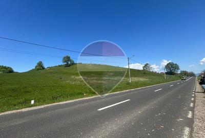 Teren Construcții intravilan de 7430 mp, în Berința