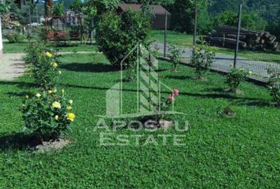 Casa cu teren de 3515mp, in Resita - 8