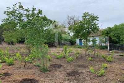 Teren intravilan 2562mp Loc 23 August | Ideal locuiță sau casă vacanță - 6
