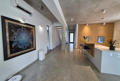 Inchiriere vila moderna Iancu Nicolae - 2