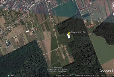 Teren Construcții intravilan de 1250 mp, în Ciofliceni