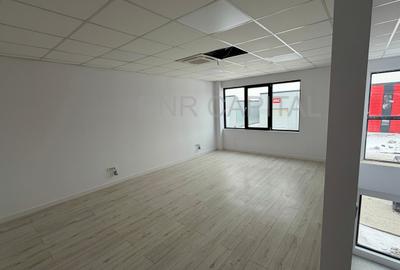Hala 600 mp | TBM Park Chitila | Curte 460mp | Birouri | TIR - 8