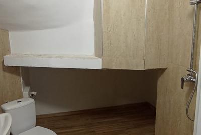 7 cam pretabil birouri, demisol vila D Cantemir-Metrou Tineretului 600 m - 4