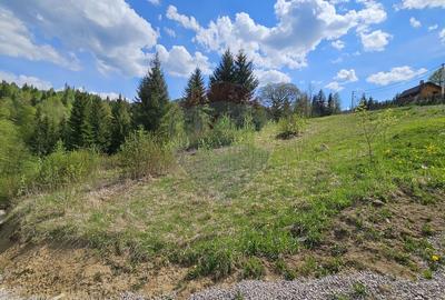Teren 4048mp Campulung Moldovenesc, Strada Izvorul Alb, Suceava - 22