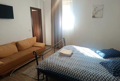 Pensiune/Casă cu 9 camere | Aproape de Cetate | Investiție premium - 5