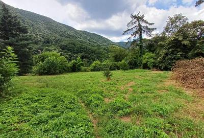 Baile Herculane, De Vanzare Vila Miramonte, 3204 Mp. Teren Intravilan, In Centru - 6