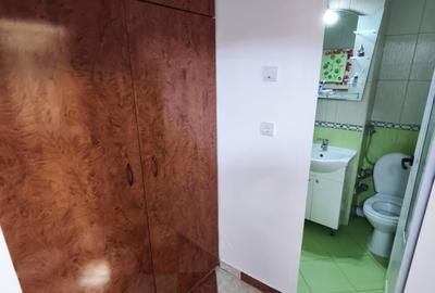 ROANDY-Apartament renovat,mobilat si utilat-Malu Rosu - 7