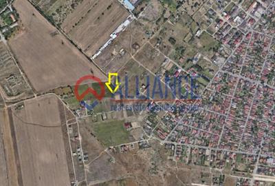 VIILE NOI - Teren în spate la Vila Cucoanei - 2