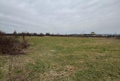 Teren Construcții intravilan de 7200 mp, în Lăpușel