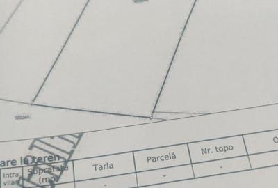 Teren Construcții intravilan de 600 mp, în Odoreu