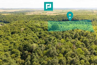 Teren agricol extravilan de 22900 mp, în Exterior Sud