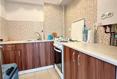 Apartament 1 camera Pacurari Pentru Poni - 4