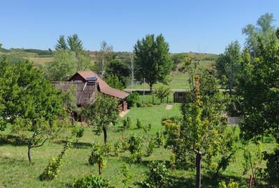 Casa din lemon cu teren in Uileacu de Munte - 8