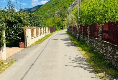 VILĂ ELEGANTĂ DE VÂNZARE LÂNGĂ BĂILE HERCULANE - 16