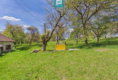 Proprietate rară cu 24.270 mp, în Măgulicea, Arad! - 36