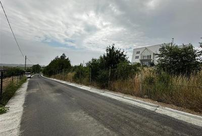 Teren de la 240mp la 2900mp, Targu Neamt, spectaculos, str. Vulturi - 3