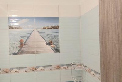 Pantelimon, Delfinului, Lidl, Mega Image, stradal - 13