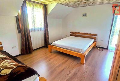 Cabana cu 7 camere de vanzare in Albac - V10073 - 6