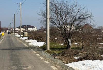 Domnești, teren langa pădure, 420mp, utilități,  deschidere 21ml, intravilan - 1