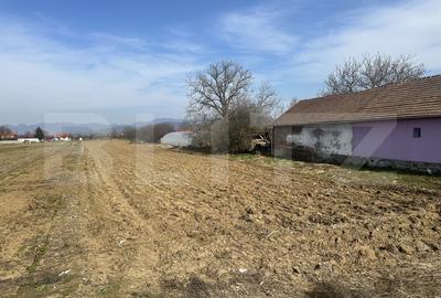 Teren Construcții intravilan de 4550 mp, în Sântuhalm