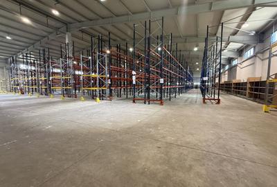 Depozite logistice 5.000 mp de vânzare, Dragomirești-Vale, Centură - 16