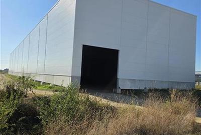 Spațiu industrial, de 5,200 mp, în Mogoșoaia