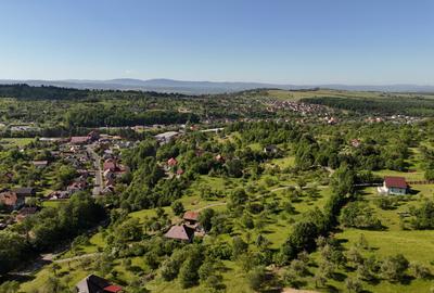 Teren intravilan 5.105 mp, Baia Sprie, la intrare pe Valea Chiuzbăii - 8