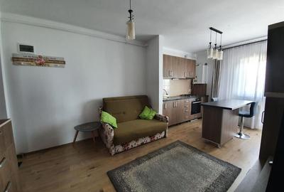 Apartament cu 2 camere semidecomandat, mobilat în Turnișor