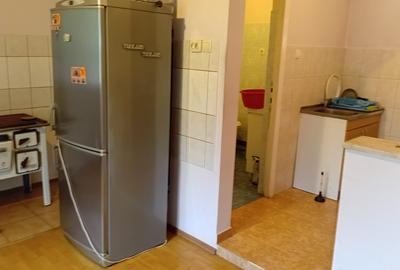 Vanzare Casa in localitatea Bodrogu Nou - 14