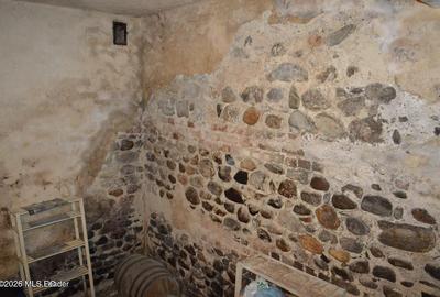 Curtea de Arges - Ultracentral - Casa autentica 180 mp, Teren 1336 mp - 19