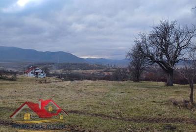 Teren Intravilan 3000 mp – Cisnădie - 6