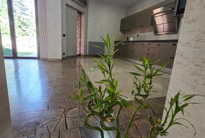 Casa de inchiriat in zona Casa Presei - Poligrafiei - 10