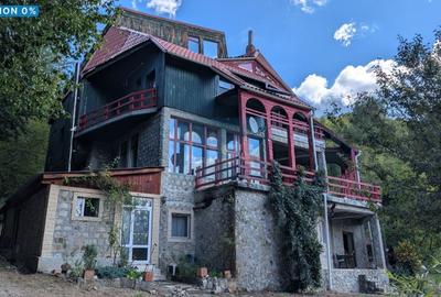 Casă cu 10 camere în Lepșa