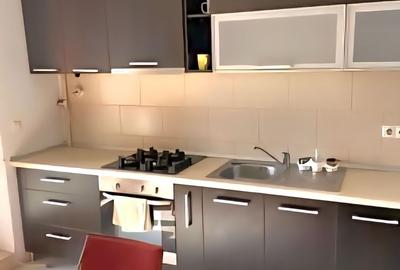 Apartament 1 cameră, zona Aradului – bloc 2011, terasă 13 mp - 1
