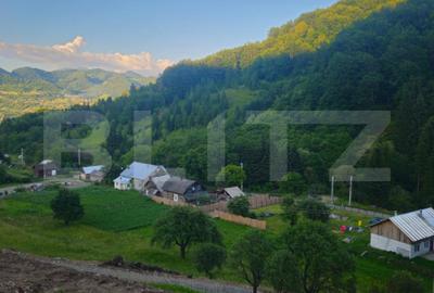 Teren Construcții intravilan de 10000 mp, în Est
