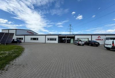 Spațiu Industrial Modern | Producție, Depozitare, Logistică - 16