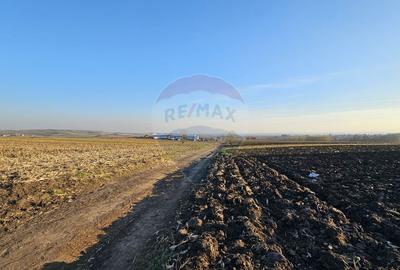 Teren extravilan 6,100mp Stroiesti / Soseaua DN17, Suceava - 5