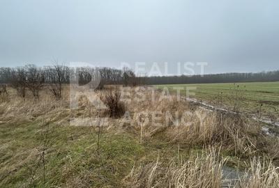 Teren Construcții intravilan de 5246 mp, în Ciofliceni
