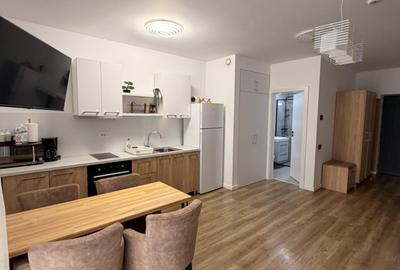 Studio - Green Future Sinaia  - inchiriat cu 550 euro/luna - 4