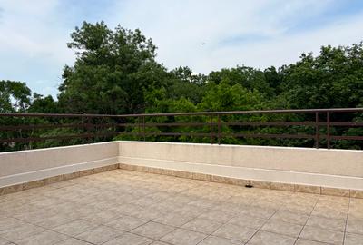 APARTAMENT CU 5 CAMERE IN VILA RENOVATA - PE INTREGUL ETAJ - AVIATORILOR - 2