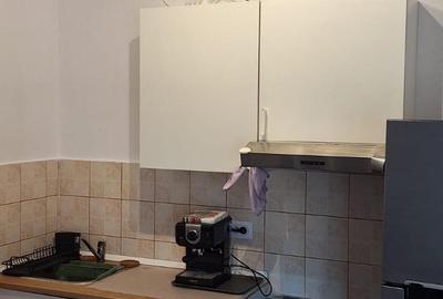 Inchiriere studio spatios Eminescu View - 4