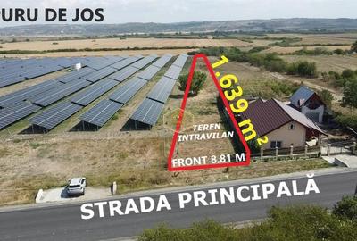 Teren Construcții intravilan de 1639 mp, în Sud