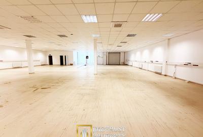 Hală / spațiu industrial 376 mp + birouri, acces TIR - 5
