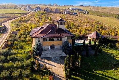 Proprietate Unică de Vânzare în Vișani, Iași – Reședință și Investiție Turistică - 1