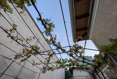 Popa Nan, 2 camere, curte proprie - 7