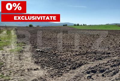 Teren agricol extravilan de 15000 mp, în Codlea